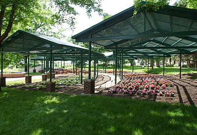 flower beds in full shade