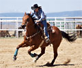 Never Summer Rodeo in Walden, CO