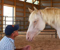 Cloud and Will at Four Directions Horse Farm