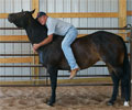 Jay with Will at Four Directions Horse Farm