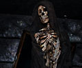 Scream Theme Haunted House skeleton