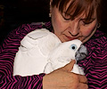 Kim and her Umbrella Cockatoo
