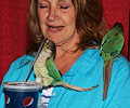 Parrot