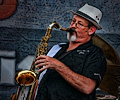 Blues Dogs - Gary Brunner