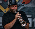 Blues Dogs - Matt Meuli