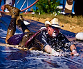2013 Mud Bridade