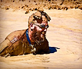2013 Mud Bridade