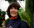 Yellow Front Amazon Parrot at the RMSA Exotic Bird Festival