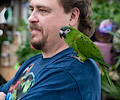 Hahn's Macaw at the RMSA Exotic Bird Festival