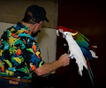 Top Hogs perfoming at the Rocky Mountain Bird Expo