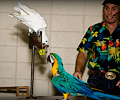 Top Hogs perfoming at the Rocky Mountain Bird Expo