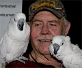 Cockatoos