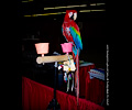Ruby Macaw