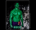 The Hulk (Marvel Comics) - Denver Comic Con 2015