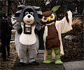 Fisher the raccoon and Percy the owl