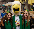 Eagle Chicks
