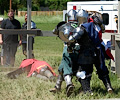 Medieval Festival Fighters