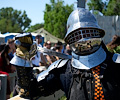 Medieval Festival Fighters