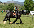 Medieval Festival Order of Epona