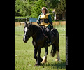 Medieval Festival Order of Epona