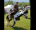 Medieval Festival Order of Epona