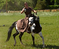 Medieval Festival Order of Epona