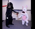 Fort Collins Comic Con 2018 (Saturday)