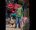 Tour de Corgi