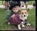 Tour de Corgi
