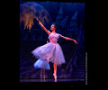 Nutcracker Ballet 2018