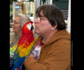 Bath Bird Day 2019