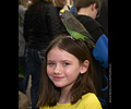 Bath Bird Day 2019