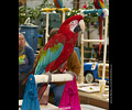 Bath Bird Day 2019