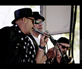 The Blues Dogs