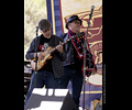 The Blues Dogs