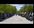 Bikes