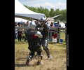 Medieval Combat