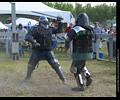 Medieval Combat