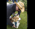 Tour de Corgi