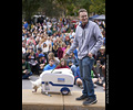 Tour de Corgi