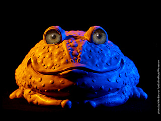 Froggy