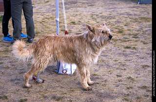 ATC 2019 - Day 2 Breakfast