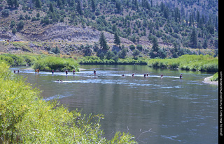 ATC 2019 - Day 2 Race Start