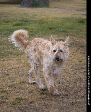 ATC 2019 - Day 3 Preparation