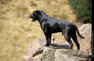 2019-09-08 ATC Day 3 Ropes