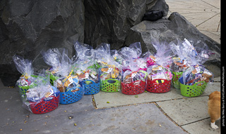 Tour de Corgi - Costume Contest Prizes