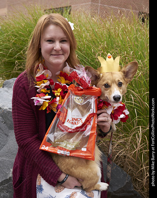 Tour de Corgi - Costume Contest- Sweet Rolls