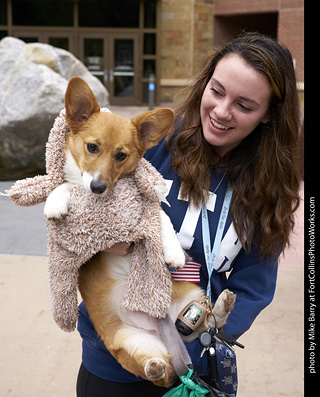 Tour de Corgi - Costume Contest