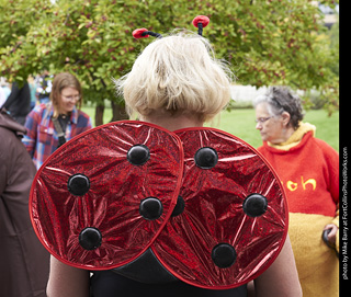 Tour de Corgi - Costume Contest - Lady Bug