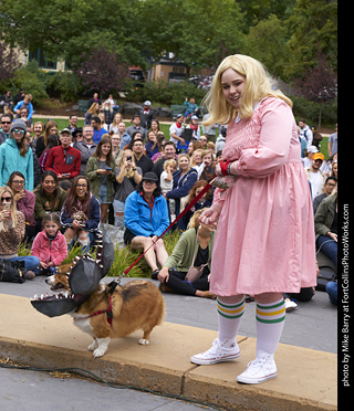 Tour de Corgi - Costume Contest - Demogorgon